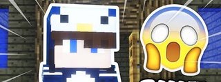 test de timo