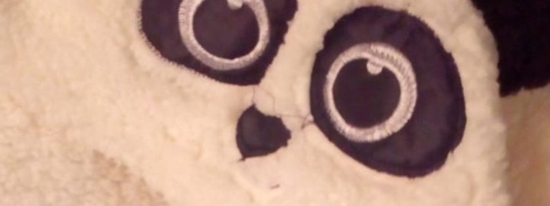 Cuanto sabes de panda nivel dios 