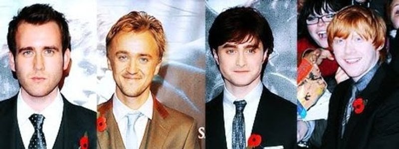 &iquest;Qui&eacute;n ser&iacute;a tu novio de Harry Potter?