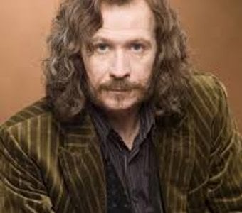 Resultado de &iquest;Qui&eacute;n ser&iacute;a tu novio de Harry Potter?