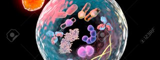 EVALUACIÓN DE BIOLOGÍA