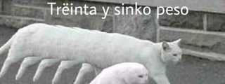 QUE TANTO SABES DE MEMES