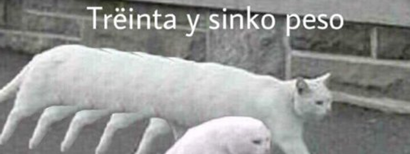 QUE TANTO SABES DE MEMES