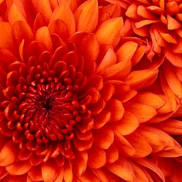 cuantos a&ntilde;os tiene cristiano ronaldo cr7? - &iquest;cuanto sabes de futbol?