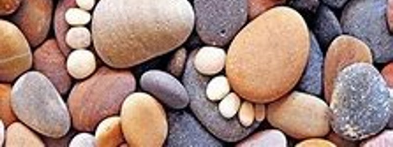 A que personage de los buscadores de piedras del patio te pareces?
