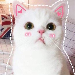 &iquest;Cual fue la primera canci&oacute;n hecha para Fafhs? - &iquest;Cuanto sabes de Fnafhs?