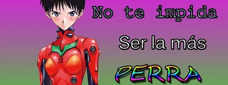 Hola bones, anem al gra.