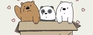 Que animal eres