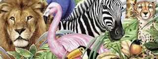 que animal eres (test de personalidad) :3