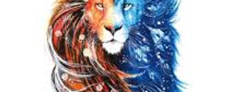 que animal espiritual eres
