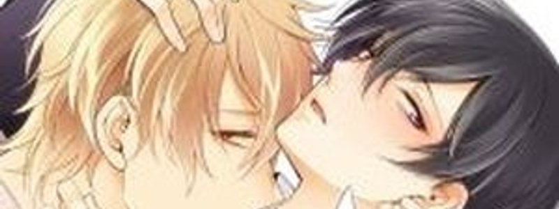 ¿que tanto te gusta el yaoi?