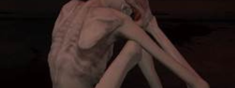 How much do you know about slender?