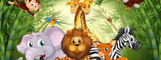 cuanto sabes de animales???