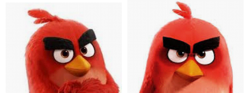 Cuanto sabes sobre angry birds
