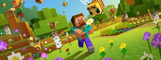 te gusta MINECRAFT?