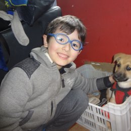 cual raza de perro le gusta a dario - cuanto sabes de dario