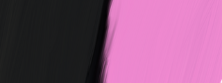 Rosa o negro