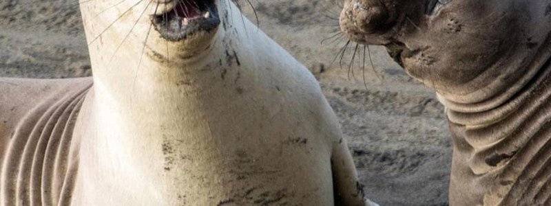 cuanto me conoces :3