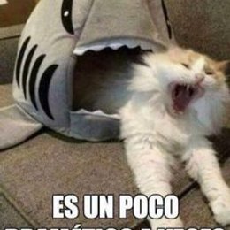 cual de estas cancion NO es de txt - cuanto sabes de txt