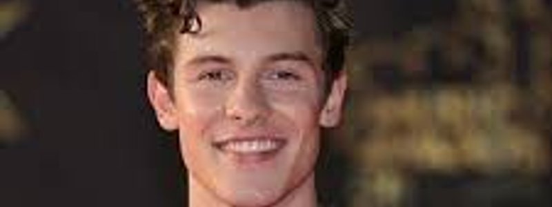 Cuanto sabes de Shawn Mendes