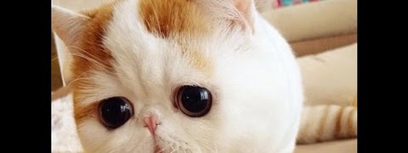¿cuanto me conoces?