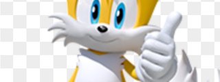 Test: ¿cuanto sabes sobre tails?