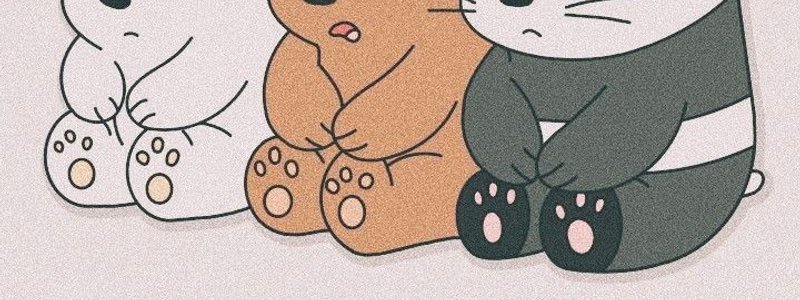 Eres uke suke o seme?