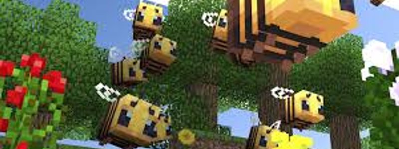 cuanto sabes de minecraft