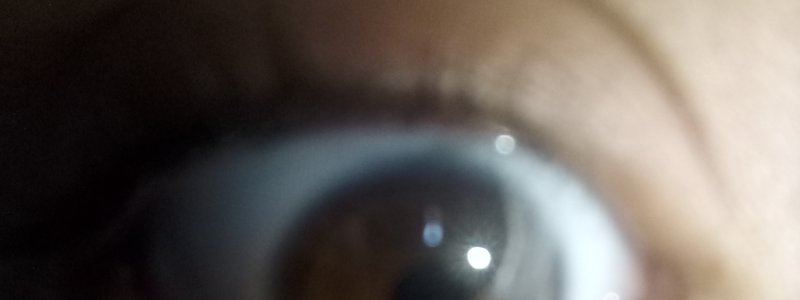 Que tipo de persona heres