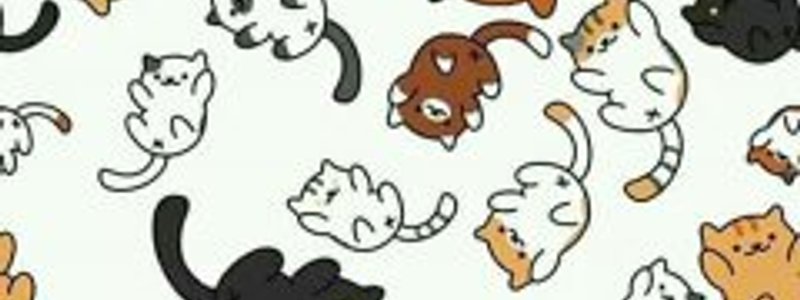 super gatito miau miau