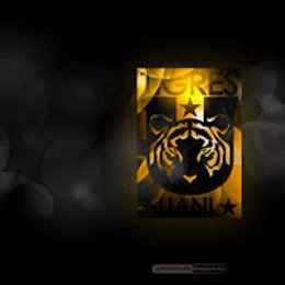 quien gano la clausura 2018 - que tanto sabes de la liga mx