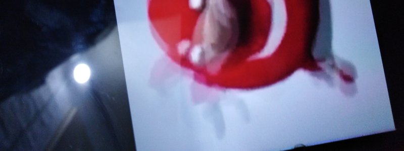 Cuanto sabes de yandere simulator