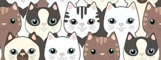 ¿ Que  Gato eres ?