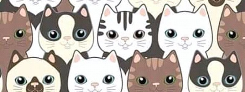 ¿ Que  Gato eres ?