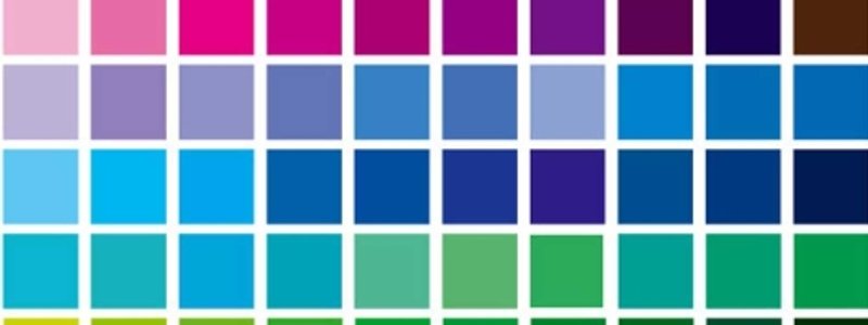 ¿Que color eres?