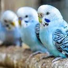 &iquest;Cual es mi juego favorito? - &iquest;Cuanto sabes sobre m&iacute;?