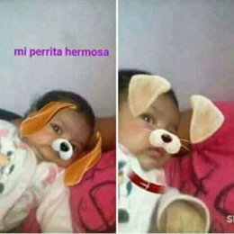 Mi perrita hermosa te amo nicol siempre te amare - &iquest;Que tanto sabes de MAMBERROI?