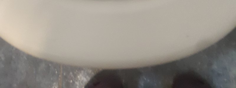 ¿Cuanto sabes de tu vieja?xdxd