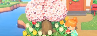 Cuanto sabes de Animal Crossing? Nivel: Medio :3