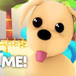 y por ultimo..., el parque queda en: - &iquest;que tanto sabes de adopt me de roblox?