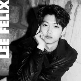 Cu&aacute;l es el color favorito de F&eacute;lix? - &iquest;Cu&aacute;nto sabes de F&eacute;lix stray?