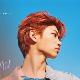 En qu&eacute; empresa y grupo est&aacute; F&eacute;lix? - &iquest;Cu&aacute;nto sabes de F&eacute;lix stray?