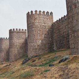 Sa&uacute;l y Juli van de vacaciones a &Aacute;vila. &iquest;En que CCAA est&aacute; esta provincia? - LA ORGANIZACI&Oacute;N DE ESPA&Ntilde;A