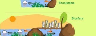 Niveles de organización de la ecología