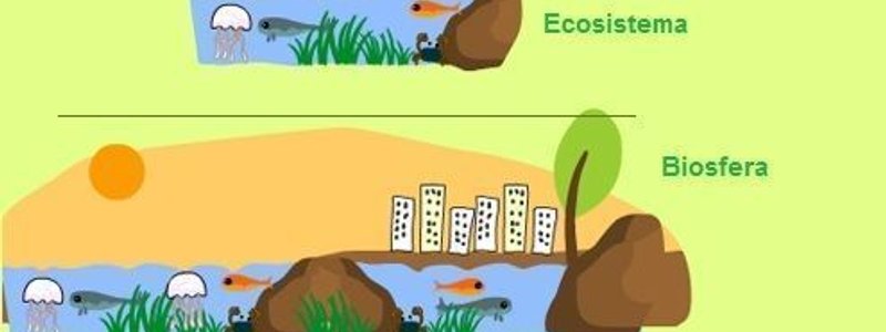 Niveles de organización de la ecología