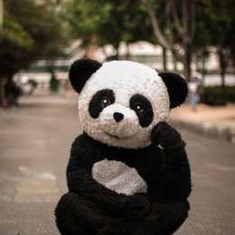 Mejor Amigo de Panda? - CUANTO CONOCES A "YOLO AVENTURAS"