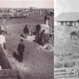 El Museo Jos&eacute; Hern&aacute;ndez fue fundado en el a&ntilde;o - Cultura va a tu casa