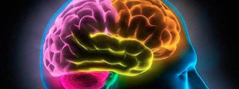 Que tan inteligente eres ;)?