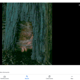 &iquest;quien fue la primera persona que entr&oacute; en el portal?  - &iquest;cu&aacute;nto sabes de stranger things?