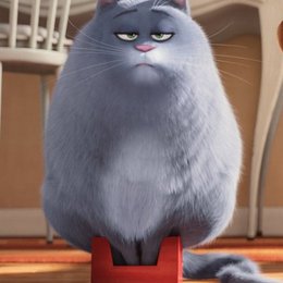 Como se llama la gata gorda de MASCOTAS? - Adivina las 50 preguntas sobre pel&iacute;culas infantiles (Parte 2)